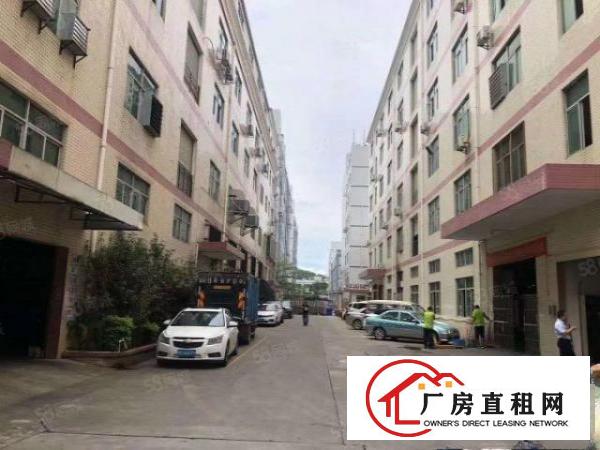  注塑模具带行车凤岗金凤凰新出一楼高6米1000平厂房