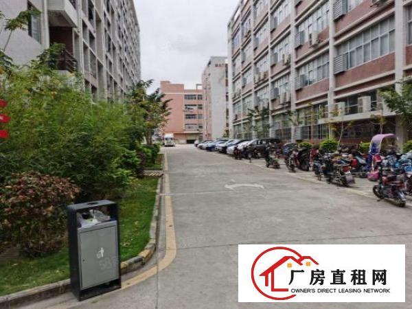  凤岗雁田前卫工业园区三楼500平可分租形象好超大空地厂房出租