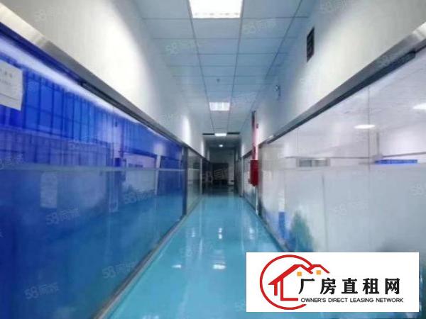  凤岗精装修工业园厂房二楼面积2800平方出租