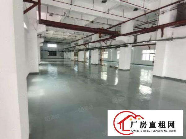  凤岗雁田安佳工业园3万平米独院厂房出租整栋房屋小面积仓库分租