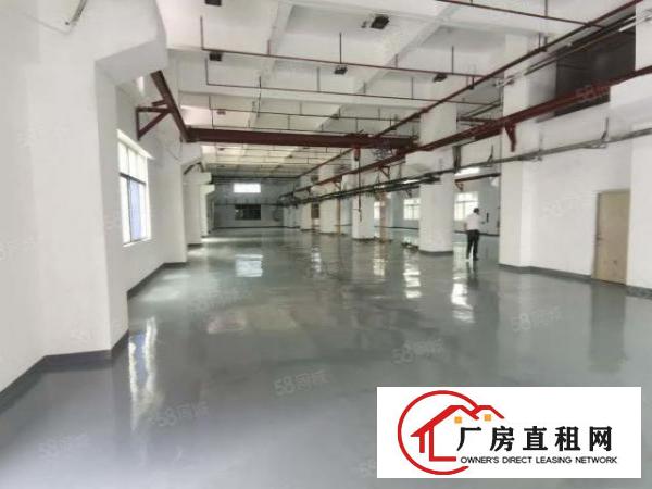  凤岗雁田安佳工业园3万平米独院厂房出租整栋房屋小面积仓库分租