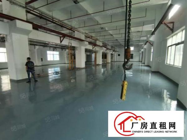  凤岗雁田安佳工业园3万平米独院厂房出租整栋房屋小面积仓库分租