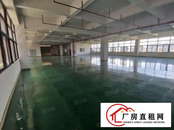  凤岗雁田安佳工业园3万平米独院厂房出租整栋房屋小面积仓库分租