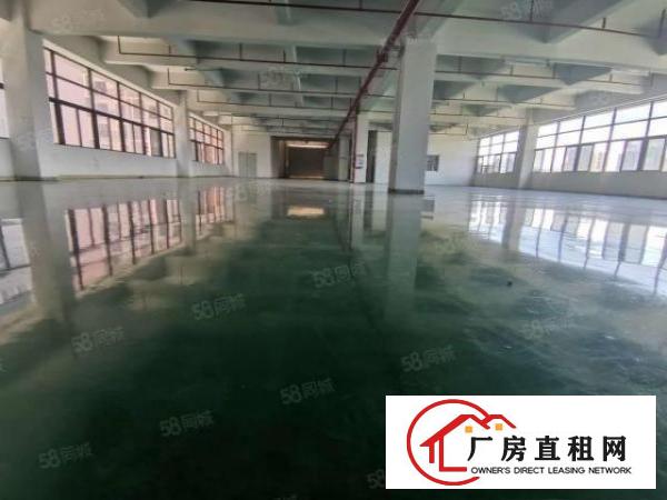  凤岗雁田安佳工业园3万平米独院厂房出租整栋房屋小面积仓库分租