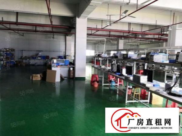  凤岗雁田安佳工业园3万平米独院厂房出租整栋房屋小面积仓库分租
