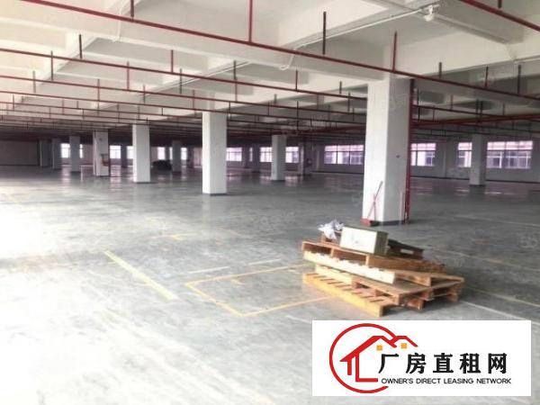  凤岗电商厂房出租单层3000平标配3吨货梯2台高速出口附近