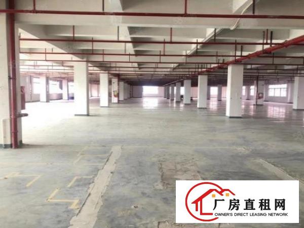  凤岗电商厂房出租单层3000平标配3吨货梯2台高速出口附近
