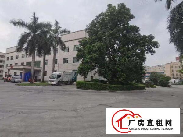  凤岗雁田一楼2000平厂房出租可以分租原房东超大空地可办环评