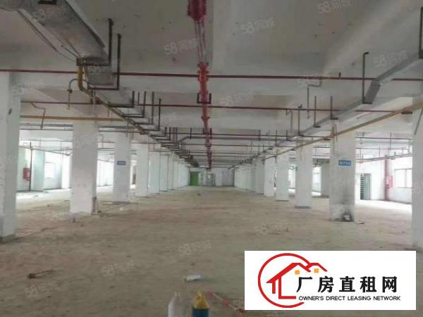  凤岗雁田一楼2000平厂房出租可以分租原房东超大空地可办环评