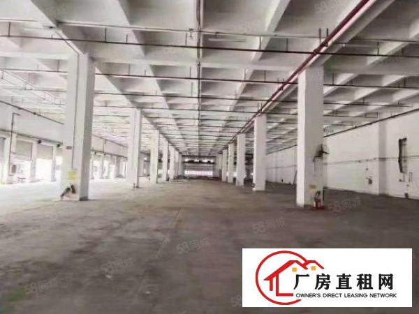  凤岗雁田一楼2000平厂房出租可以分租原房东超大空地可办环评