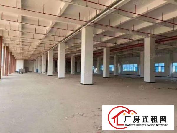  凤岗雁田一楼2000平厂房出租可以分租原房东超大空地可办环评