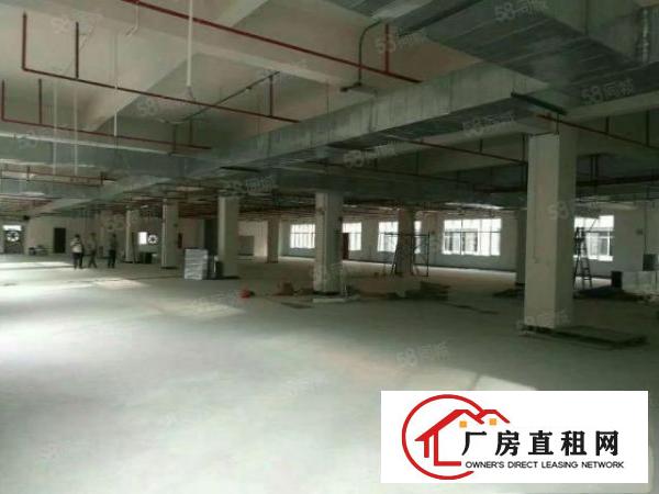  形象好的工业区一楼厂房出租）金凤凰2000平米6米高一楼厂房