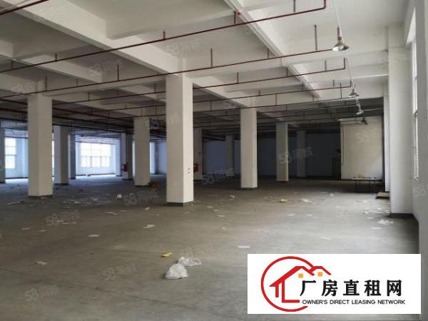  形象好的工业区一楼厂房出租）金凤凰2000平米6米高一楼厂房