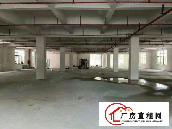  形象好的工业区一楼厂房出租）金凤凰2000平米6米高一楼厂房