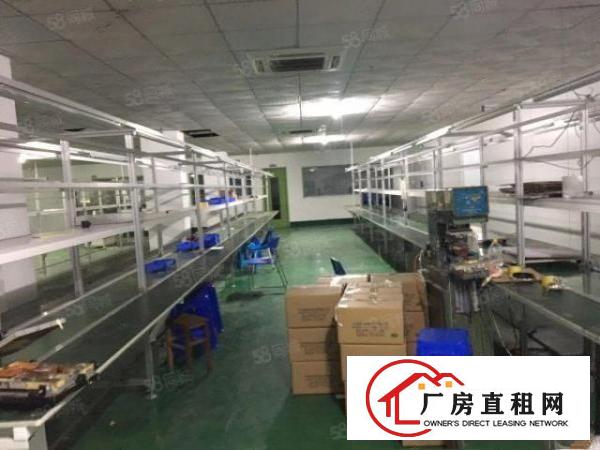  黄洞新出1000平电子厂房形象好精装修