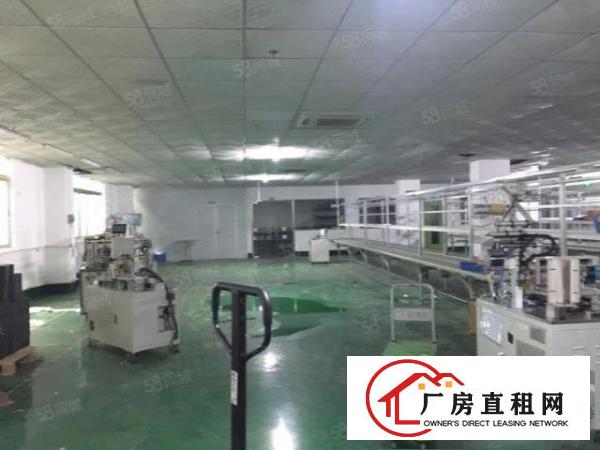  黄洞新出1000平电子厂房形象好精装修