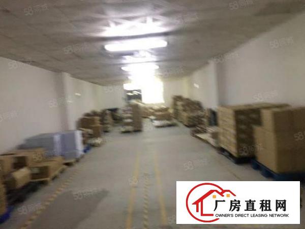  黄洞新出1000平电子厂房形象好精装修