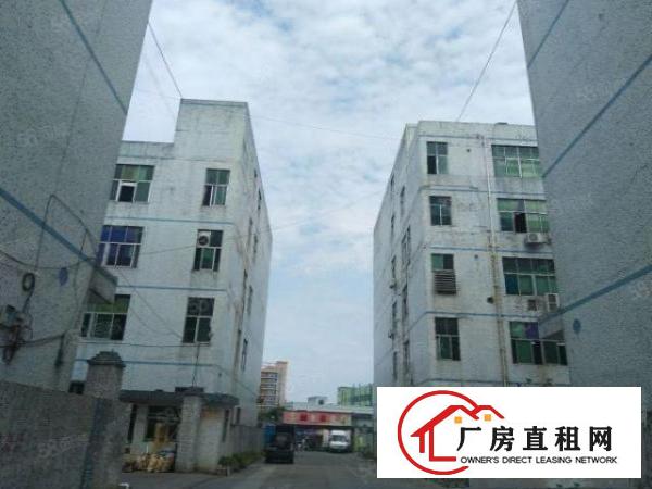  凤岗五联二楼750平标准厂房出租仓库小加工电商行业适合
