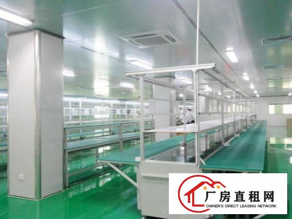  凤岗镇油甘埔经典小独院2800平方带豪华精装修办公室水电