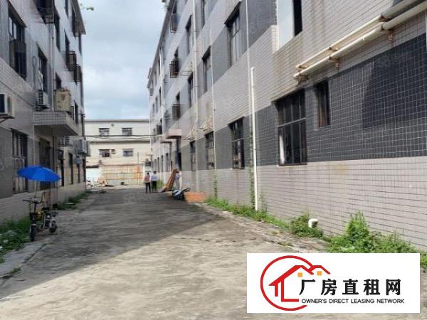 凤岗独院厂房出租5000平独立大院可分租面积不限价格实惠