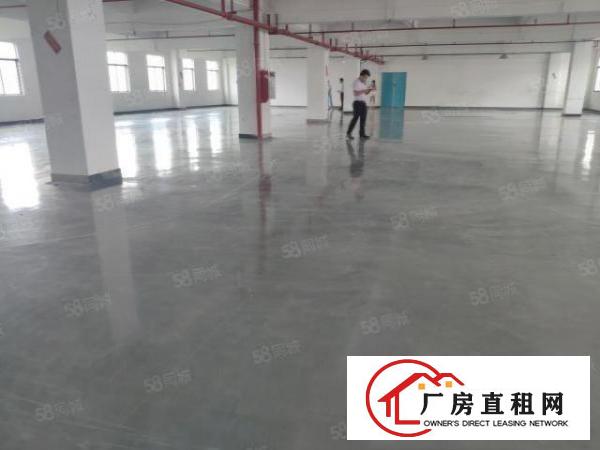  凤岗凤德岭独院3楼1500平方！租金15元！地坪漆装修！