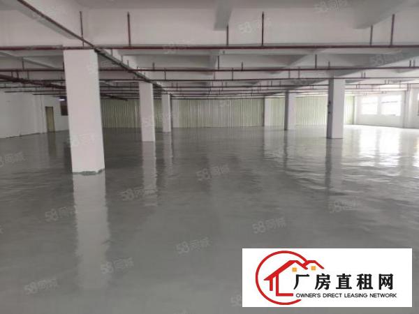  凤岗凤德岭独院3楼1500平方！租金15元！地坪漆装修！