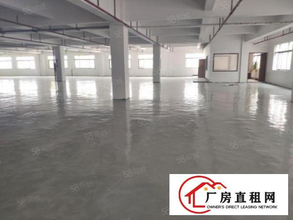  凤岗凤德岭独院3楼1500平方！租金15元！地坪漆装修！