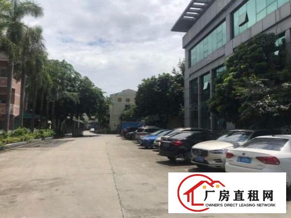  金凤凰新出楼上2000平方厂房出租空地大