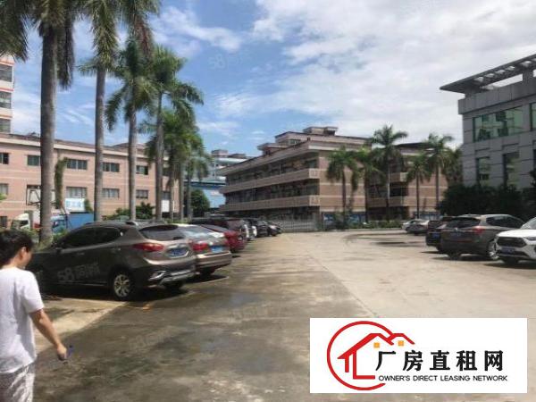  金凤凰新出楼上2000平方厂房出租空地大