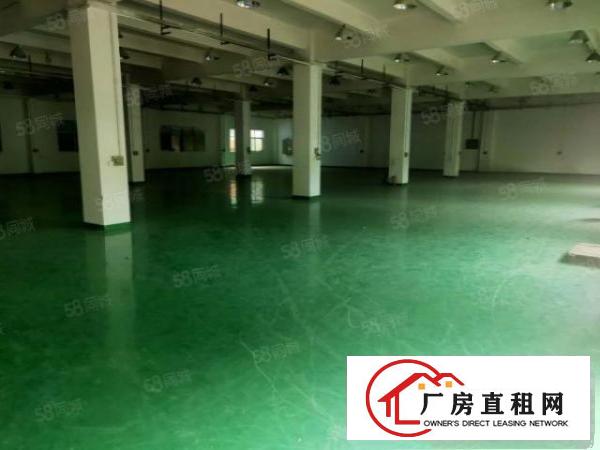  凤岗镇.工业区内5000平独门独院交通便利整租优惠