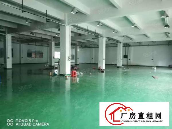  凤岗镇.工业区内5000平独门独院交通便利整租优惠
