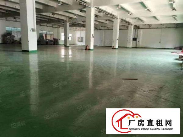  凤岗镇.工业区内5000平独门独院交通便利整租优惠