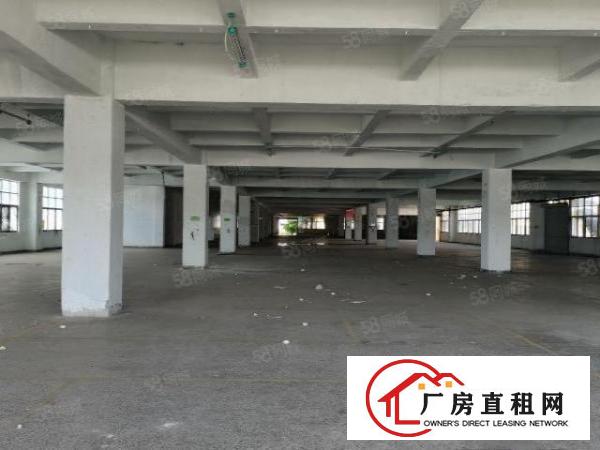  空地大，凤岗雁田海关附近电商仓库出租11000平大小可分租