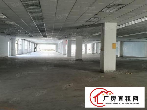  空地大，凤岗雁田海关附近电商仓库出租11000平大小可分租