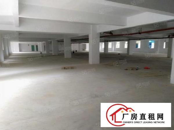 凤岗新出一楼700平厂房原房东厂房园区形象大气空地大