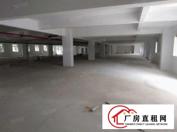  凤岗新出一楼700平厂房原房东厂房园区形象大气空地大