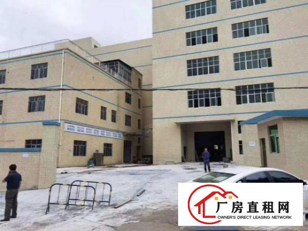  凤岗原房东全新厂房出租）2500平米每层）一楼楼上厂房出租
