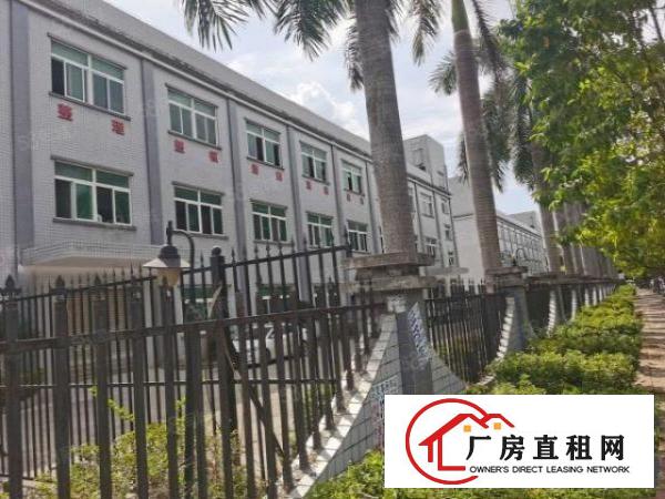  东莞凤岗原房东新出独院超大空地3000平厂房可整租分租