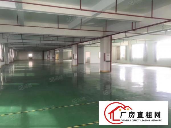  凤岗楼上850平无尘车间带前台独立办公室地坪漆主线到车间