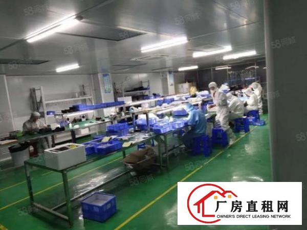  东莞凤岗新出8000平原房东独门独院超大空地厂房出租可分租