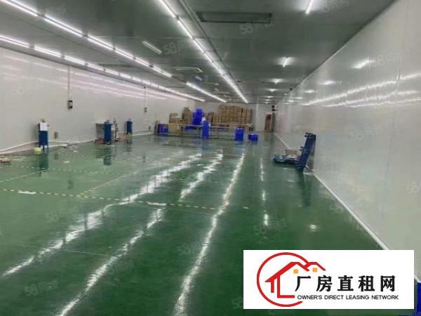  东莞凤岗新出8000平原房东独门独院超大空地厂房出租可分租