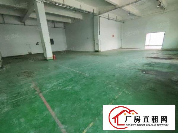  东莞凤岗新出8000平原房东独门独院超大空地厂房出租可分租