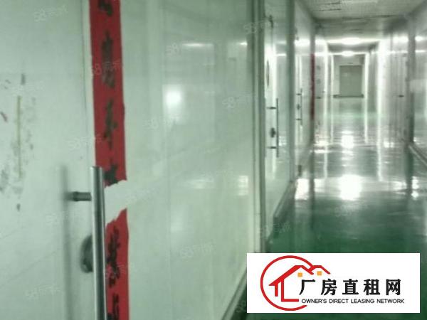  金凤凰电子厂出租现成装修好十万级无尘车间1500平米可分一半