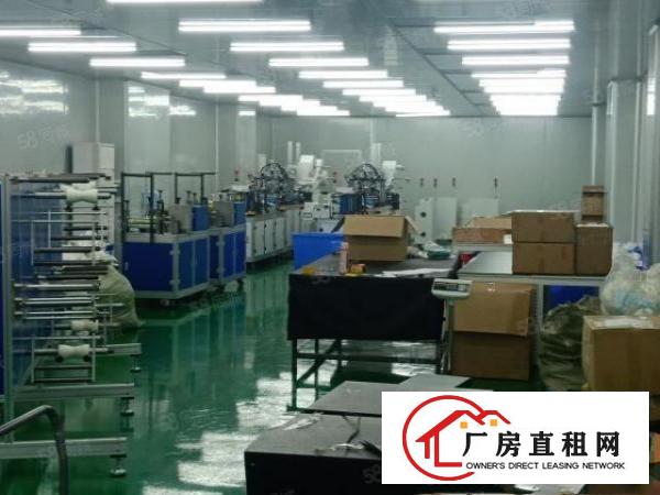  金凤凰电子厂出租现成装修好十万级无尘车间1500平米可分一半