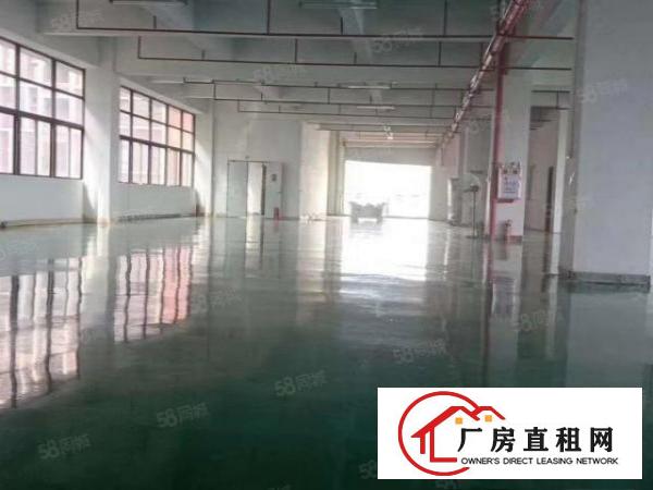  凤岗新出楼上1200平，现成装修办公室，水电齐全，好招工，