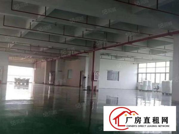  凤岗新出楼上1200平，现成装修办公室，水电齐全，好招工，