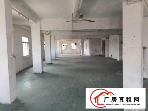  油甘埔原房东厂房出租，二三楼各600平方，现成办公室装修。