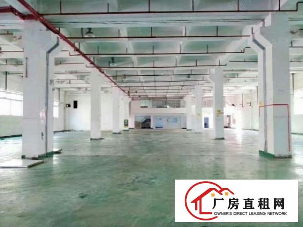  凤岗独院8000平方米厂房出租（可分租）