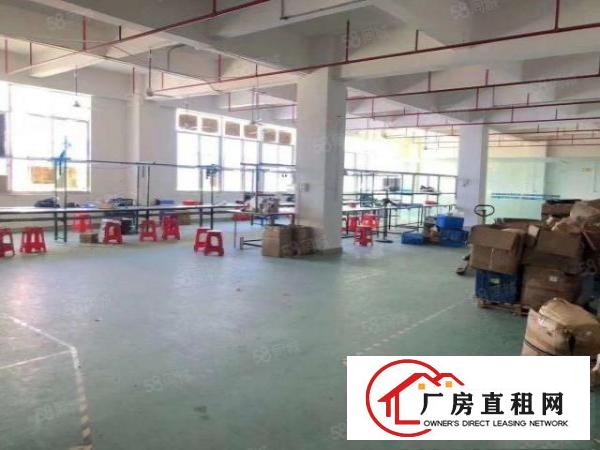  金凤凰新出楼上精装袭660平方出租形象好租金15