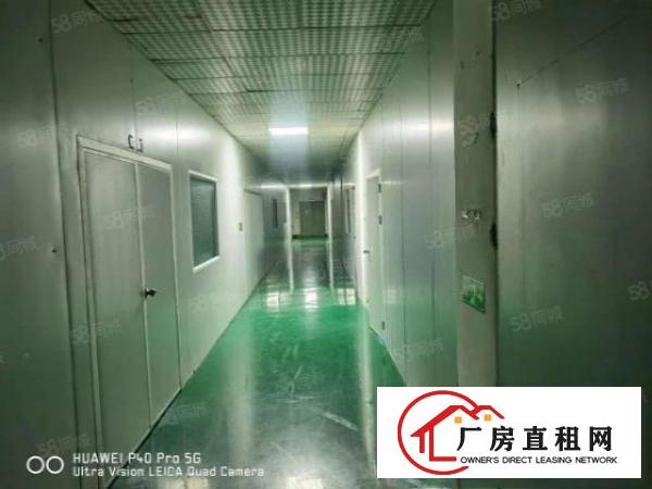  凤岗雁田厂房出租单层面积1200平，可200平起租